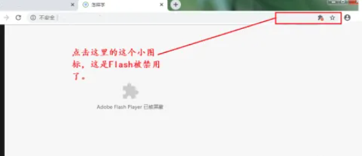 谷歌浏览器如何允许插件运行